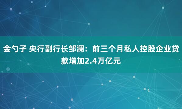金勺子 央行副行长邹澜：前三个月私人控股企业贷款增加2.4万亿元