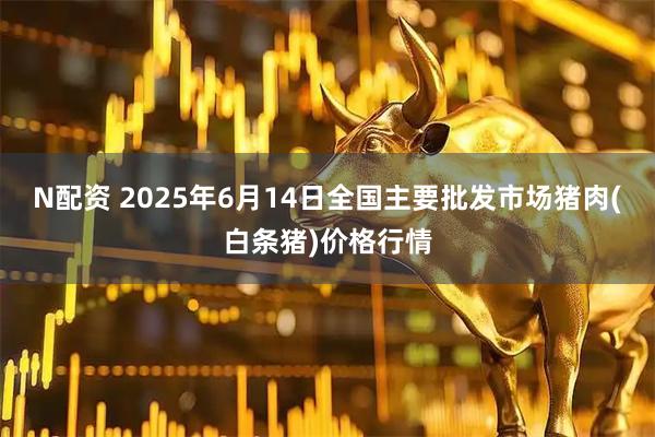 N配资 2025年6月14日全国主要批发市场猪肉(白条猪)价格行情