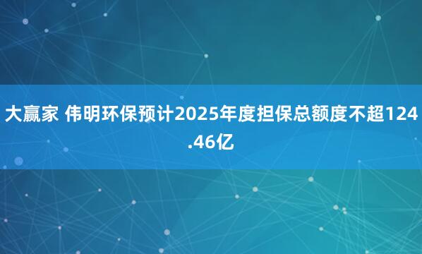 大赢家 伟明环保预计2025年度担保总额度不超124.46亿