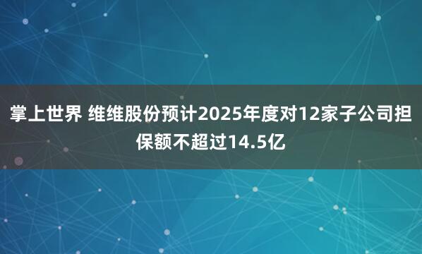掌上世界 维维股份预计2025年度对12家子公司担保额不超过14.5亿