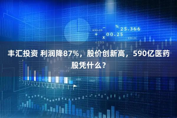 丰汇投资 利润降87%，股价创新高，590亿医药股凭什么？